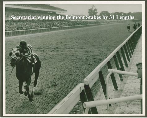 1973 belmont stakes video|1973 Belmont Stakes .